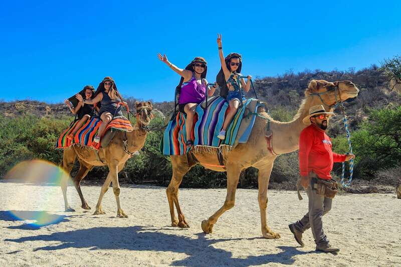 Los Cabos: Camel Ride in the Canyon & Thrilling Water-Slides - Group Size and Logistics