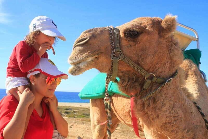 Los Cabos: Camel Ride Safari with Lunch and Tequila Tasting - The Itinerary in Detail