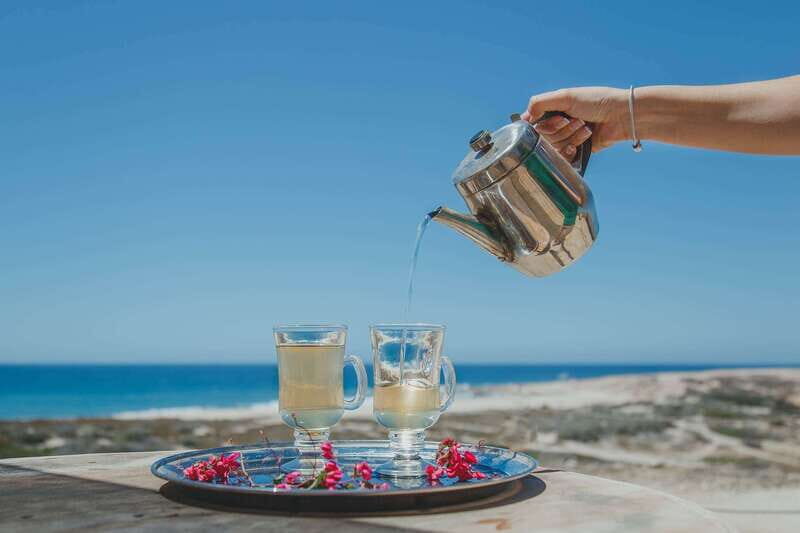 Los Cabos: Camel Ride Safari with Lunch and Tequila Tasting - Honest Review Based on Experiences