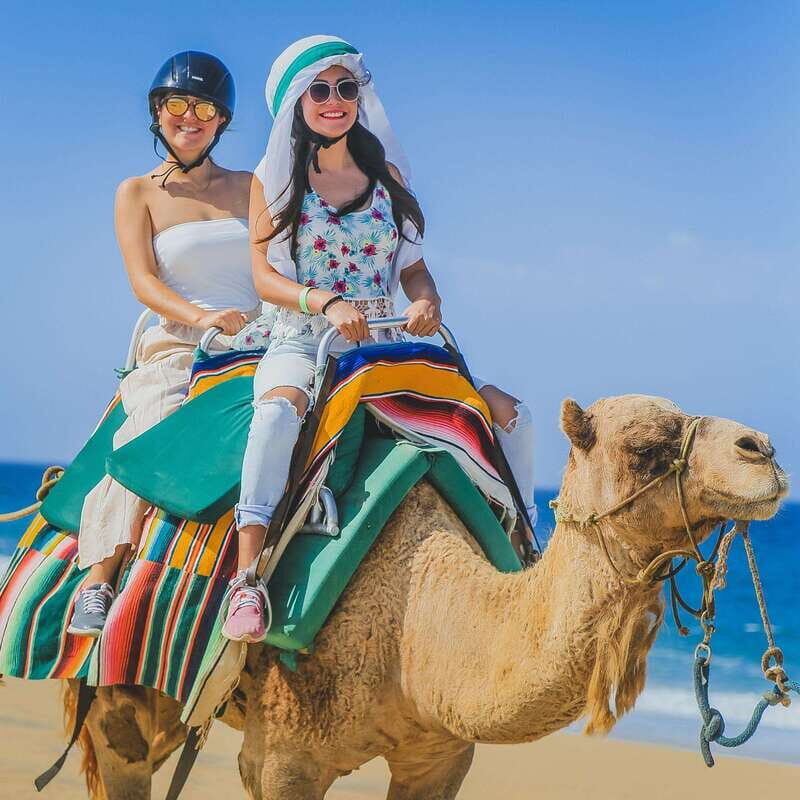 Los Cabos: Camel Ride Safari with Lunch and Tequila Tasting - FAQ