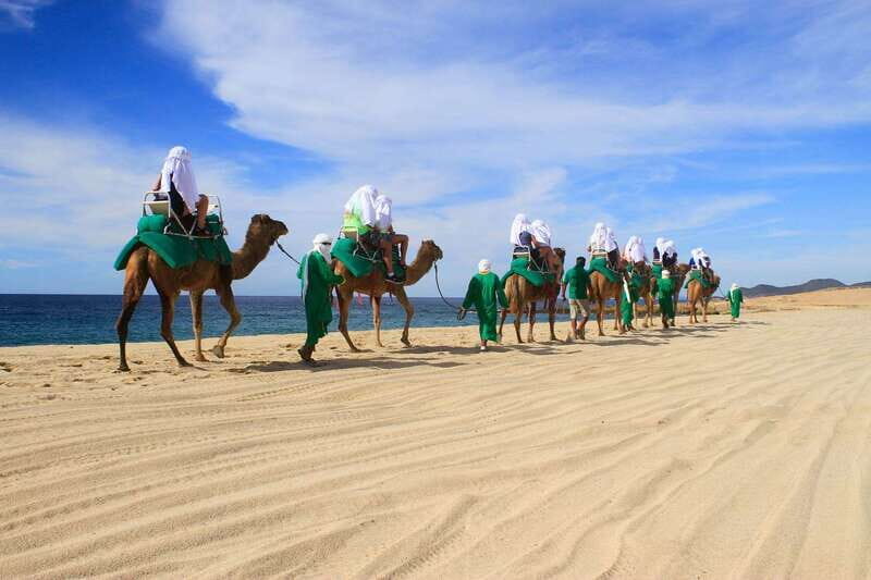 Los Cabos: Camel Ride Safari with Lunch and Tequila Tasting - Final Thoughts