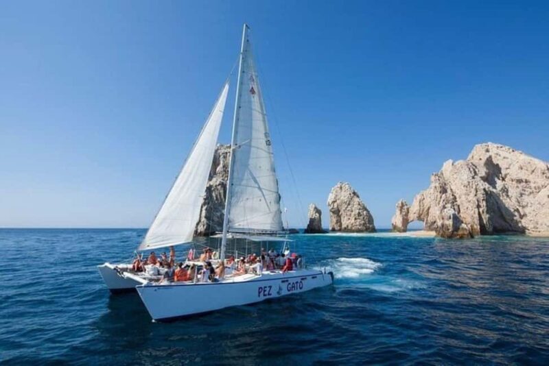 Los Cabos: Catamaran Whale Watching Cruise - Value Analysis: Is it worth the $95?