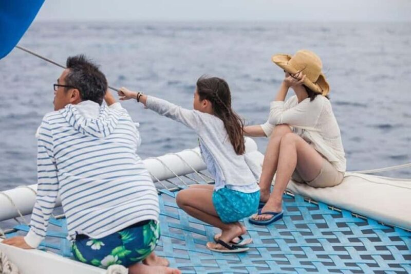 Los Cabos: Catamaran Whale Watching Cruise - Who Should Consider This Tour?