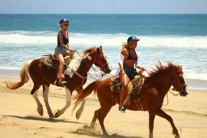 Los Cabos: Combo: Razor, Horseback or atv with transfer - Getting to Know the Tour