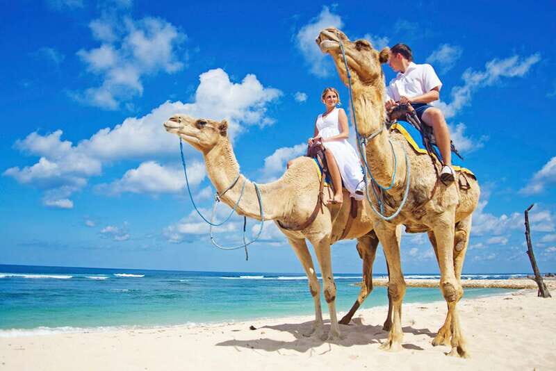 Los Cabos: Desert & Sea Camel Safari Tour with Lunch - Key Points