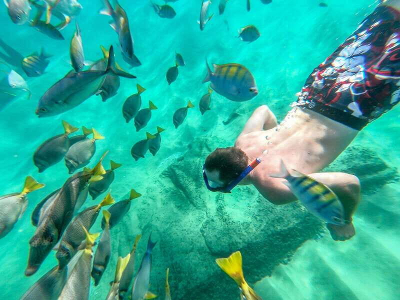 Los Cabos: El Arco, Chileno Beach, and Tequila Tasting Tour - An In-Depth Look at the Tour