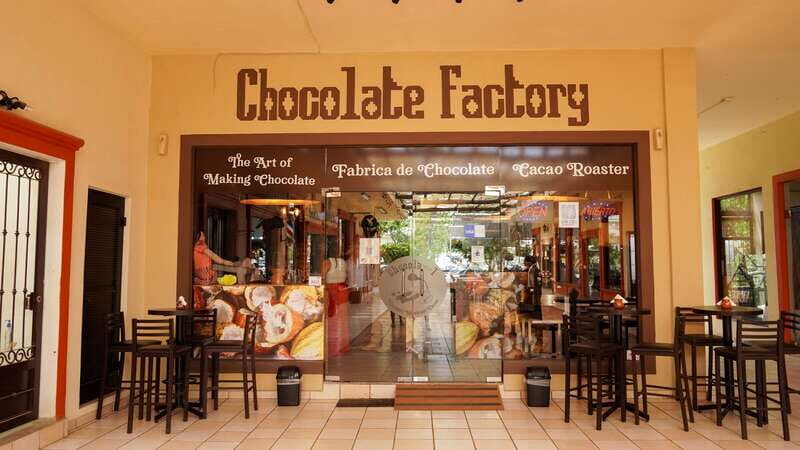 Los Cabos Famous Arch cruise, City tour and Lunch - A Quick Overview of What to Expect