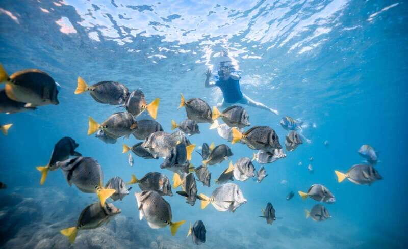 Los Cabos: Glass Bottom Kayak and Snorkel Tour at the Arch - Is It Worth the Price?