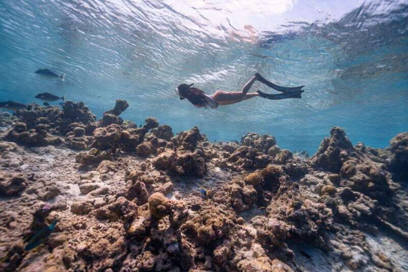 Los Cabos: Glass-Bottom Kayak and Snorkel Tour at Two Bays - Final Thoughts