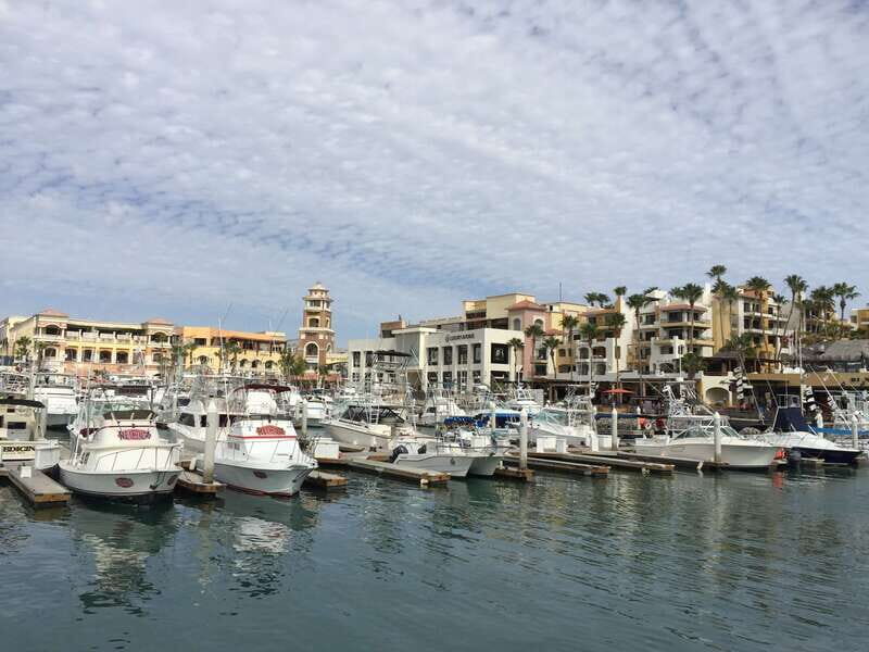 Los Cabos: Half-Day San Lucas and San Jose Tour - Final thoughts