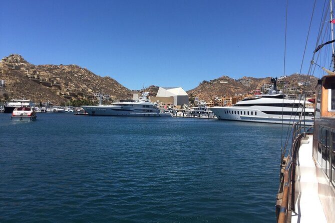 Los Cabos Half-Day Tour Discovering San Jose and San Lucas - Who Should Consider This Tour?