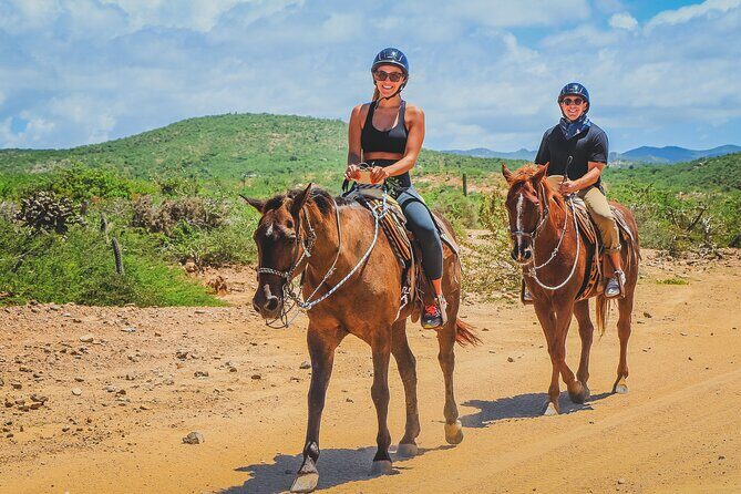 Los Cabos Horseback Riding - What to Expect from the Tour