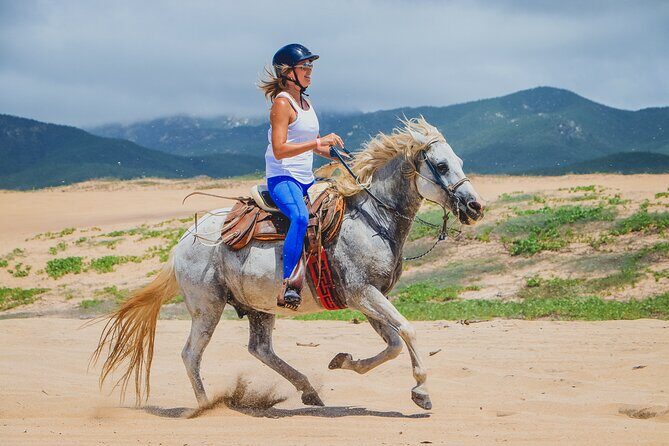 Los Cabos Horseback Riding - Practical Tips for Your Ride
