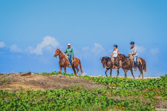Los Cabos Horseback Riding - The Sum Up