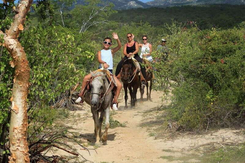 Los Cabos: Horseback Riding in Canyon a Mexican Experience - Practical Tips for Your Visit