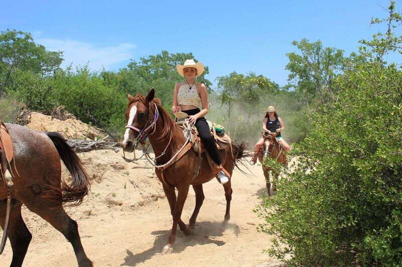 Los Cabos: Horseback Riding in Canyon a Mexican Experience - Is This Tour Right for You?