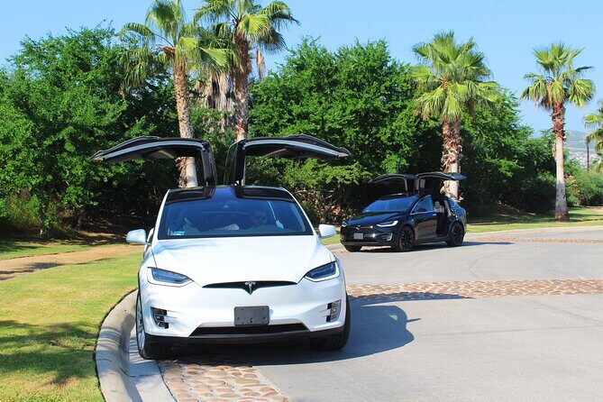 Los Cabos Luxury Tesla Transfer from Airport to San José del Cabo Area - Who is this transfer best for?