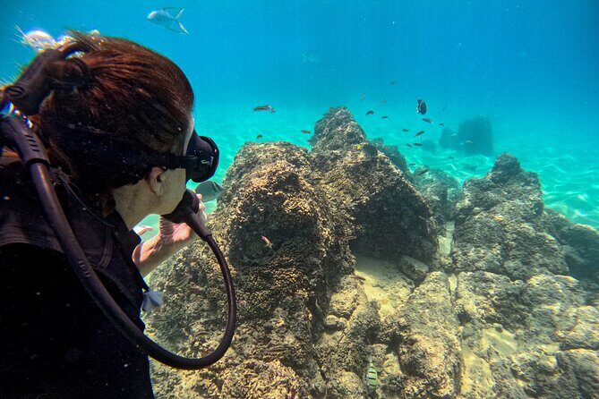 Los Cabos Open Water Diver Course - What to Expect from the Course