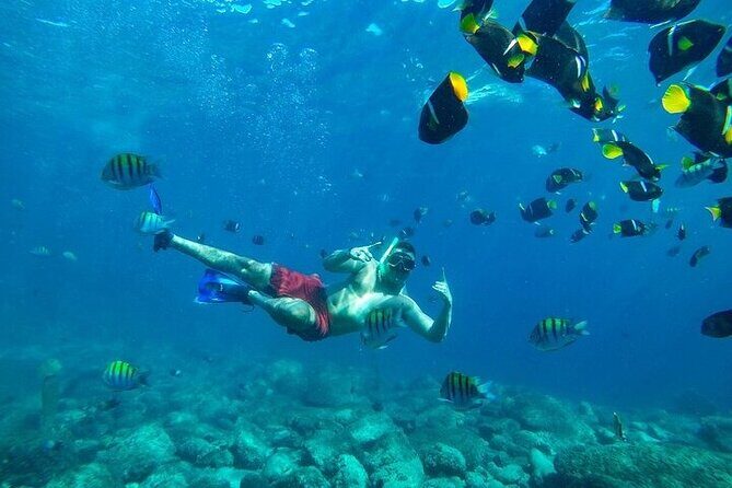 Los Cabos Platinum Snorkel Experience - FAQ