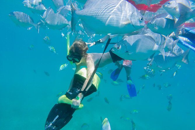 Los Cabos Power snorkel Adventure, Kayaking and Stand-Up Paddle - Who Should Consider This Tour?