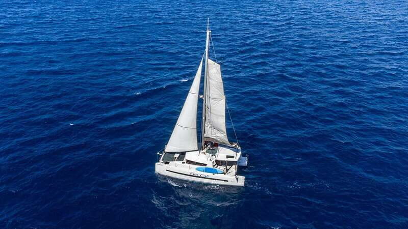 Los Cabos: Private Catamaran Snorkeling - Snorkeling and Marine Encounters