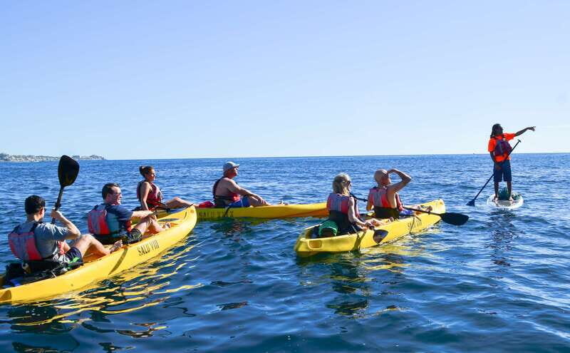 Los Cabos: Private Kayaking and Snorkeling Tour at the Arch - Is It Worth the Price?