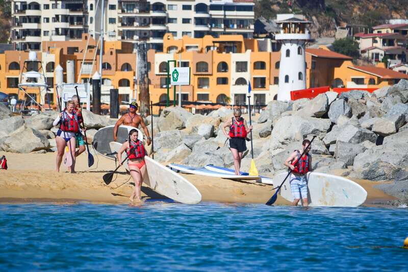 Los Cabos: Private Paddleboarding and Snorkeling Tour - What to Expect on the Tour