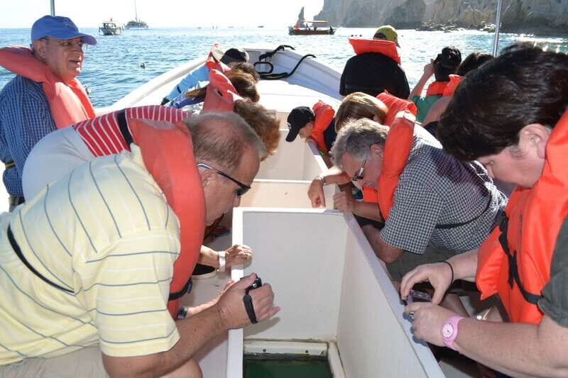 Los Cabos: San Jose and San Lucas Trip with Lunch - An Overview of the Tour: What You Can Expect