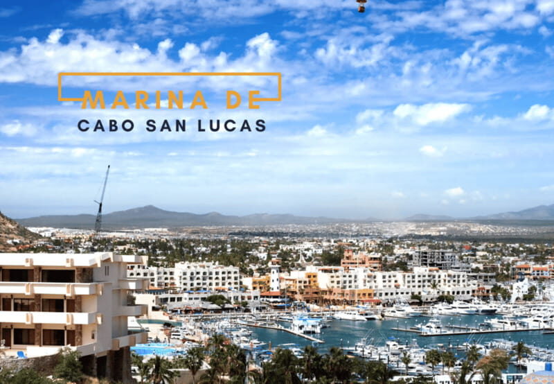Los Cabos: San Jose del Cabo and Cabo San Lucas Tour - Final Thoughts: Who Will Love This Tour?