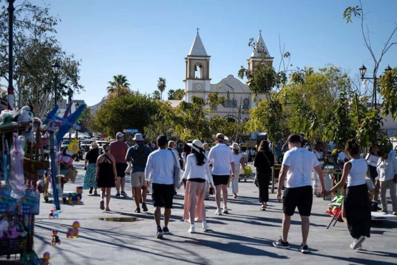 Los Cabos: San Jose del Cabo Art Walk and Beer Tasting Tour - Summing It Up: Who Is This Tour Best For?