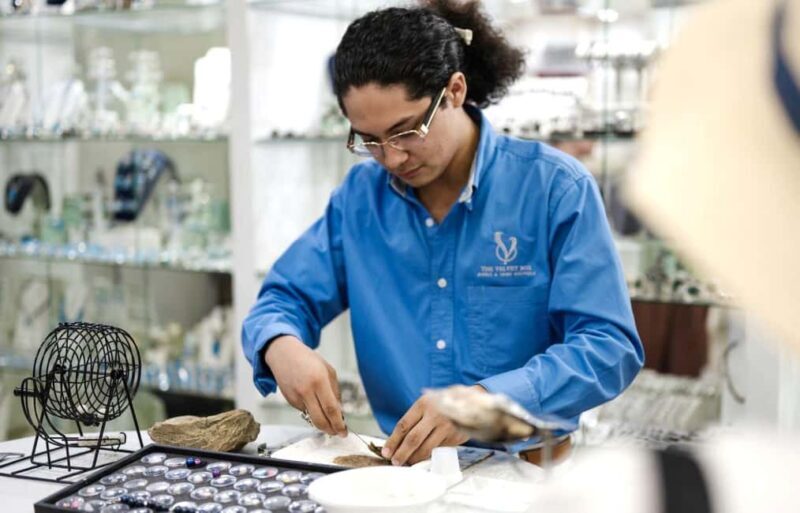 Los Cabos: San Jose del Cabo Art Walk and Beer Tasting Tour - Final Thoughts