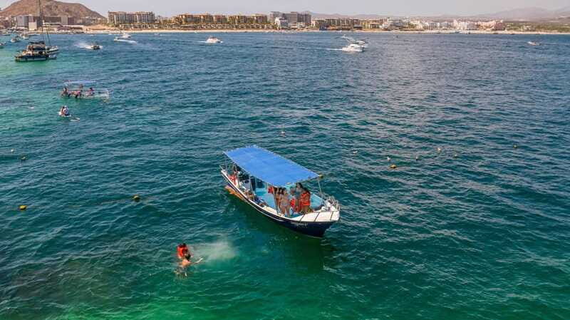 Los Cabos: Snorkel and Marine Life - What Are the Downsides?