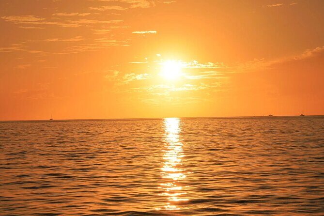 Los Cabos Sunset Catamaran Cruise with Open Bar & Light Snack - Final Thoughts