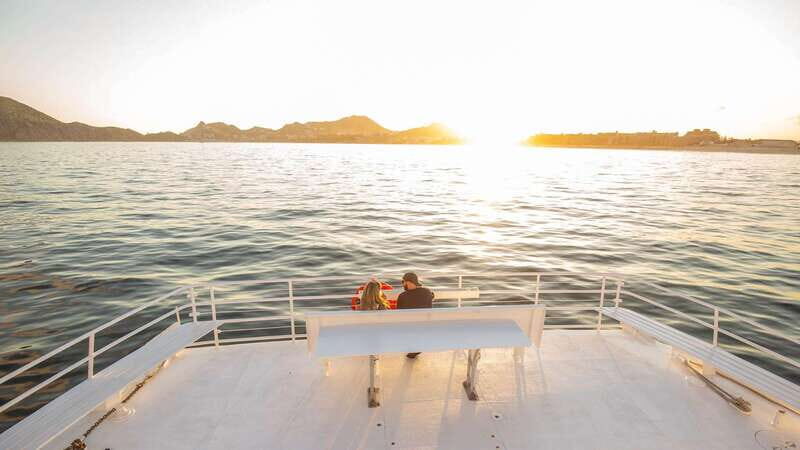 Los Cabos: Sunset Dinner Cruise with Transportation - Key Points