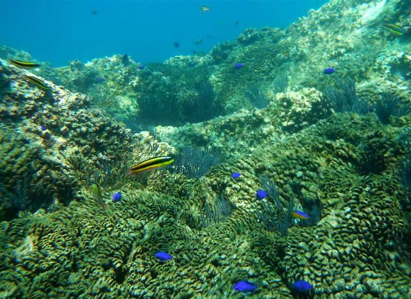 Los Cabos: The Arch and Lover's Beach Kayaking + Snorkeling - The Experience in Detail