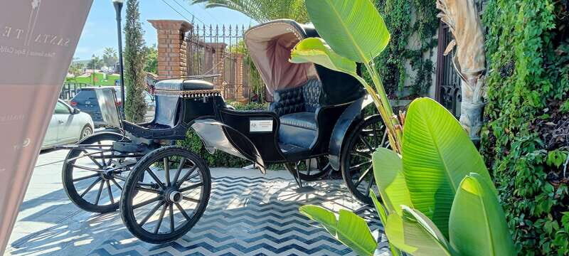 Los Cabos: Todos Santos Pueblo Magico Tour - The Experience and Value