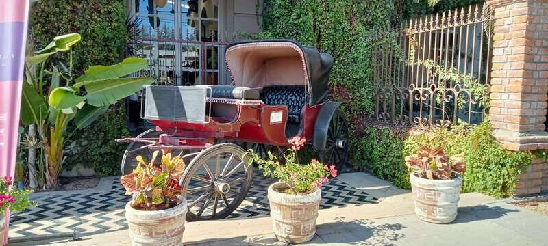 Los Cabos: Todos Santos Pueblo Magico Tour - Transportation and Duration