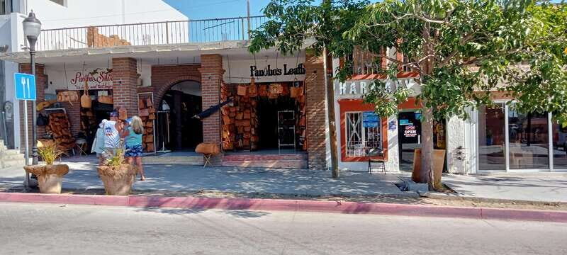 Los Cabos: Todos Santos Pueblo Magico Tour - FAQ