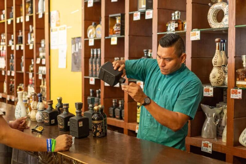 Los Cabos Tour to the Arch in a Transparent Boat - Sightseeing & Beach Stop