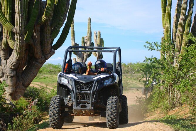 Los Cabos UTV Outdoor Experience to the Hidden Arch - How Good Is the Value?
