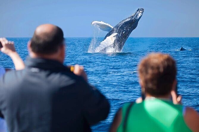 Los Cabos Whale Watching Adventure with Snacks and Drinks - Discover the Magic of the Los Cabos Whale Watching Adventure