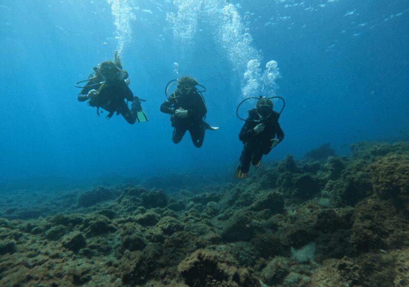 Los Cristianos: Basic Diver Course - An Honest Look at the Los Cristianos Basic Diver Course