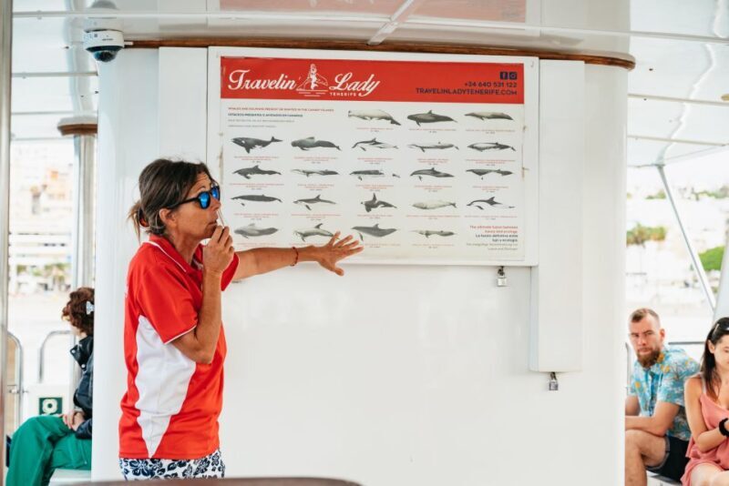 Los Cristianos: Eco-Yacht Whale Watching Cruise with Swim - The Experience: What You Can Expect