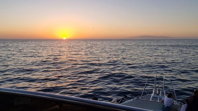 Los Cristianos: Eco Yacht Whale Watching Tour at Sunset - Comfort and Safety: What to Bring (Especially for Sunset)