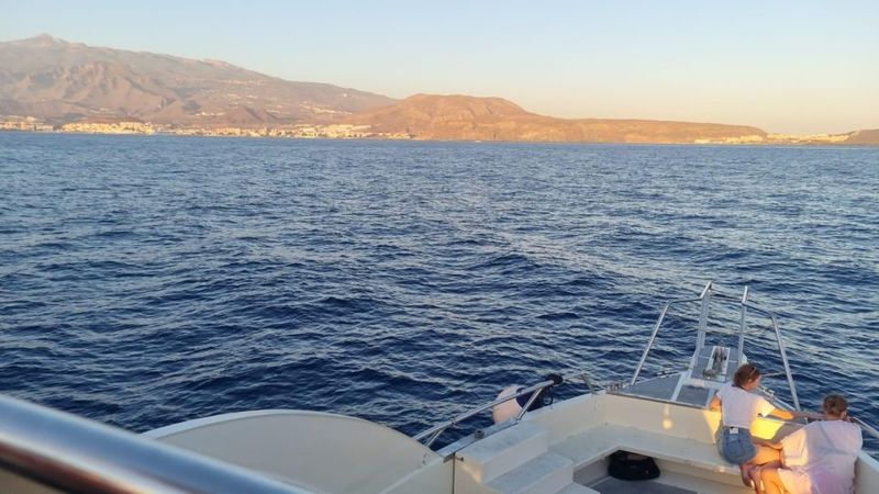 Los Cristianos: Eco Yacht Whale Watching Tour at Sunset - Accessibility: Who Should Think Twice