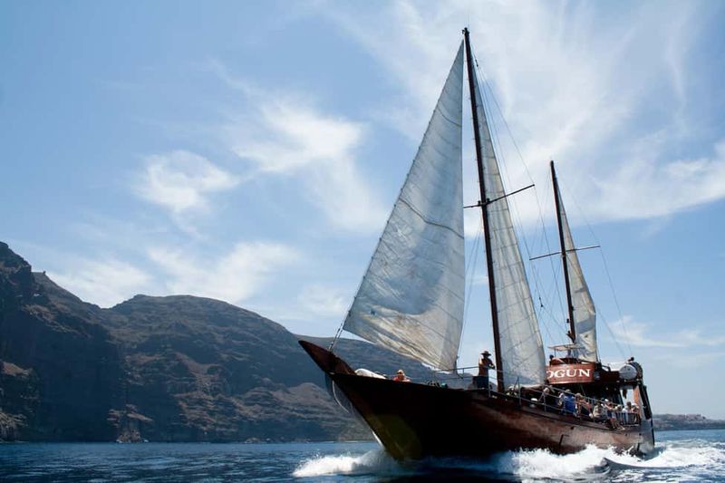 Tenerife: Whale & Dolphin Watching Cruise with Swim Stop - The Coastal Swim Stop: Short, Optional, and Captain-Dependent