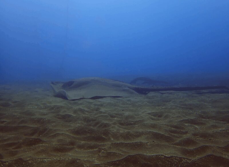 Los Cristianos: Try Dive for beginners - FAQ