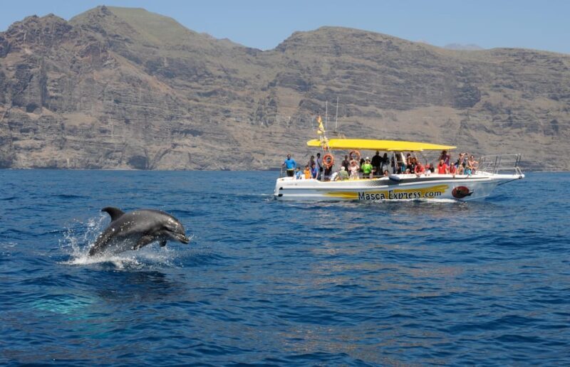 Los Gigantes: Dolphin & Whale Watching Cruise with Swim Stop - What Do Travelers Say?