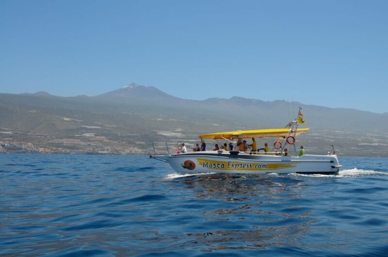 Los Gigantes: Dolphin & Whale Watching Cruise with Swim Stop - Who Is This Tour Best For?