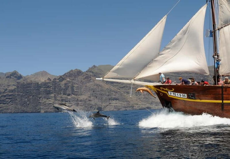Los Gigantes: Dolphin & Whale Watching Tour on a Pirate Boat - Wildlife Watching: Dolphins & Whales